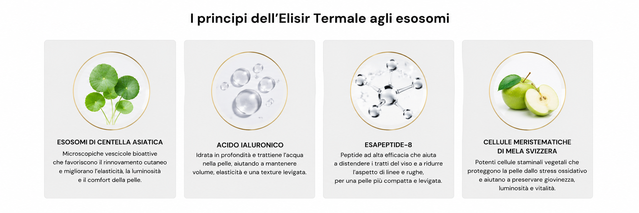 Elisir Viso Esosomi di Centella